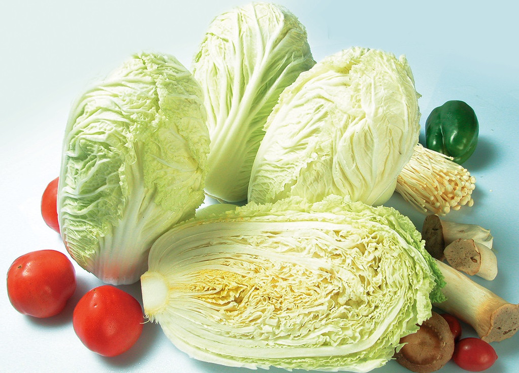 百菜不如白菜，大白菜軟腐病的防治方法