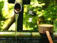 北美農大集團，殺蟲劑廠家，殺菌劑，沖施肥，生長調節(jié)劑