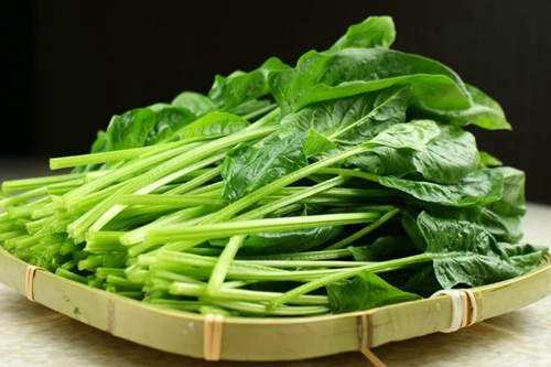 菠菜使用葉面肥時應(yīng)注意什么？