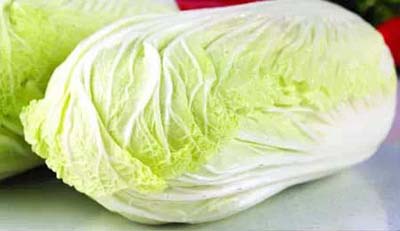 百菜不如白菜，大白菜軟腐病的防治方法