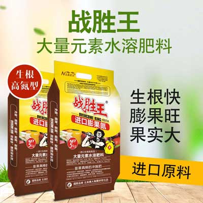 大白菜種植應(yīng)當(dāng)如何使用沖施肥