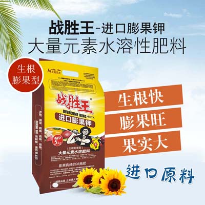 教你如何在南瓜膨大期施壯瓜肥